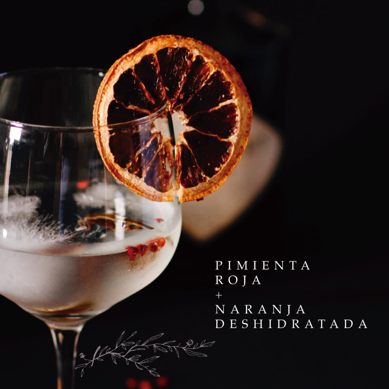 Piel De Naranja Deshidratada - En Tarro De Cristal 40 Gr| Regional Co