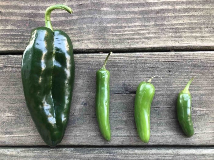 Chile Jalapeño en Tarro de Cristal 25 Gr | ONENA