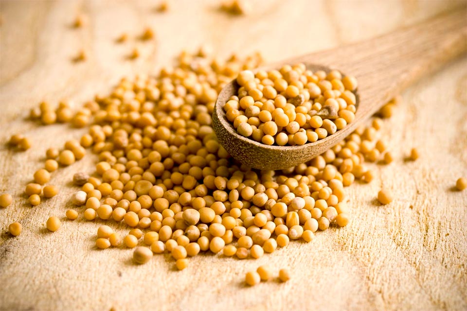 Mostaza Grano en Tarro de Cristal 65 Gr | ONENA